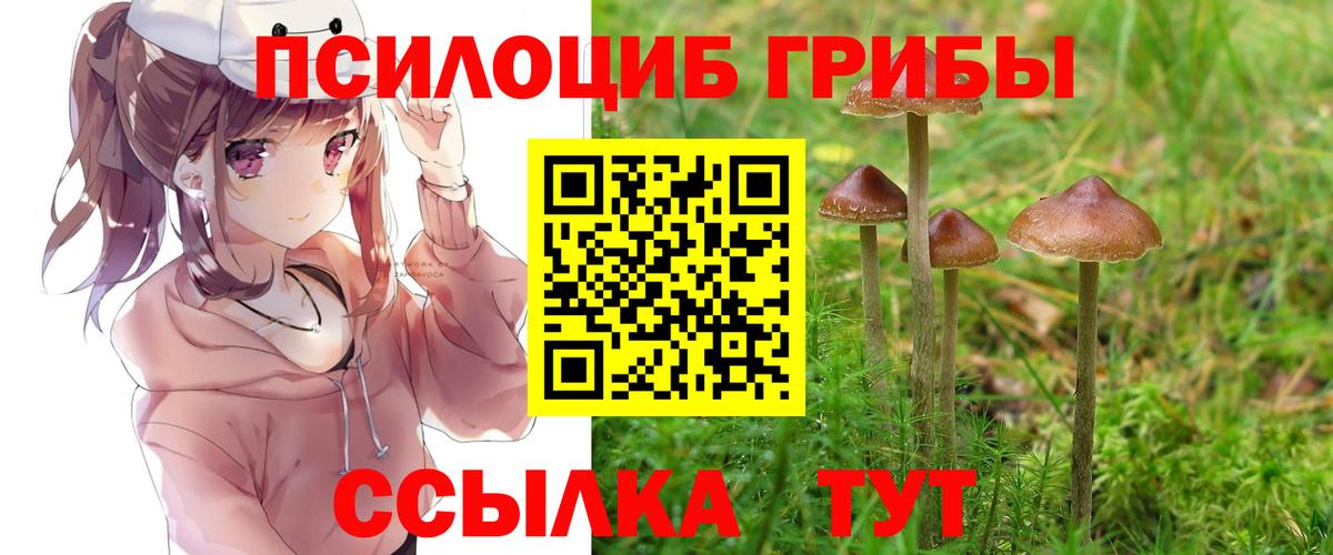 Галлюциногенные грибы ЛСД Железногорск