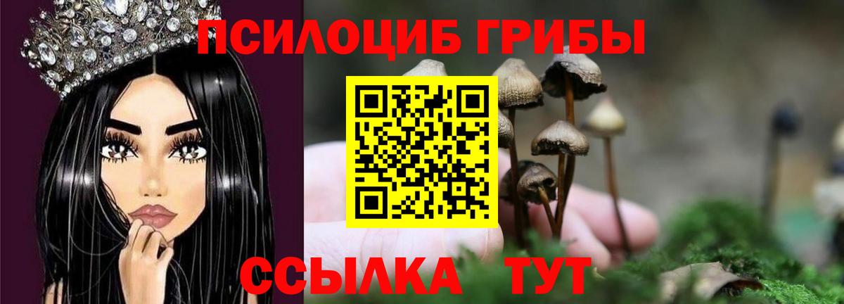Псилоцибиновые грибы мухоморы  Псилоцибиновые грибы GOLDEN TEACHER  Вход с VPN  Железногорск 